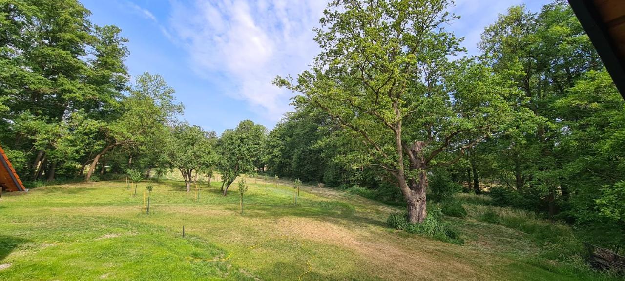 Vierseitenhof Appartements Бург Екстер'єр фото