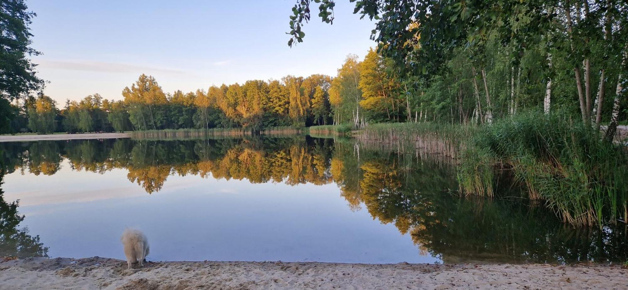Vierseitenhof Appartements Бург Екстер'єр фото